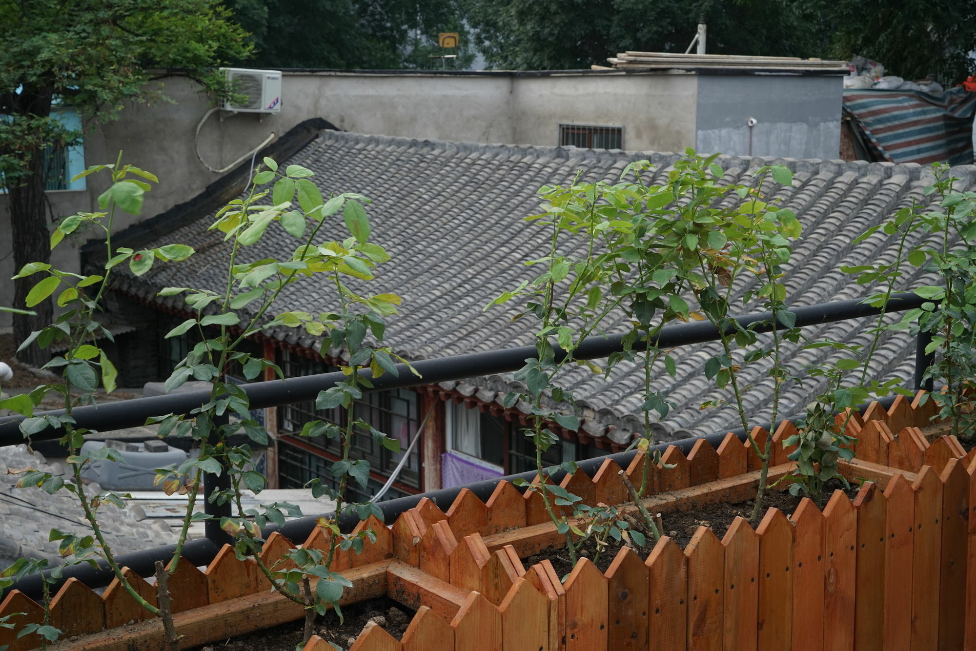 Garden Inn Beijing Eksteriør bilde